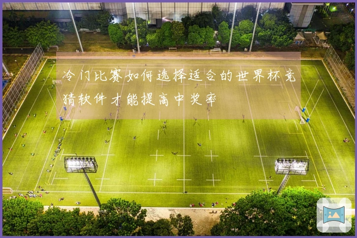 冷门比赛如何选择适合的世界杯竞猜软件才能提高中奖率