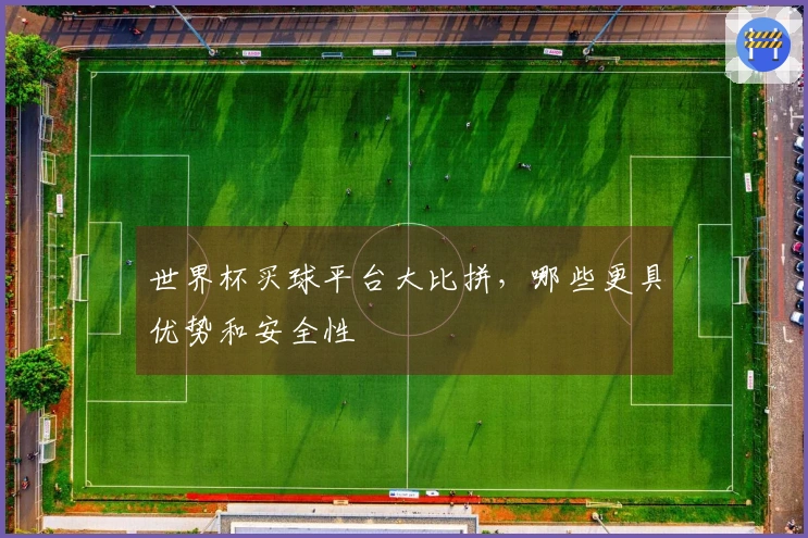 世界杯买球平台大比拼，哪些更具优势和安全性