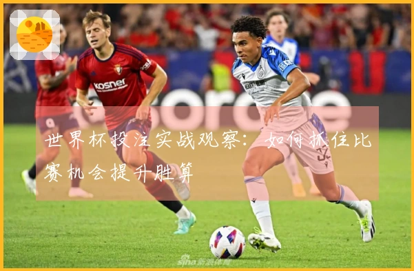 世界杯投注实战观察:如何抓住比赛机会提升胜算