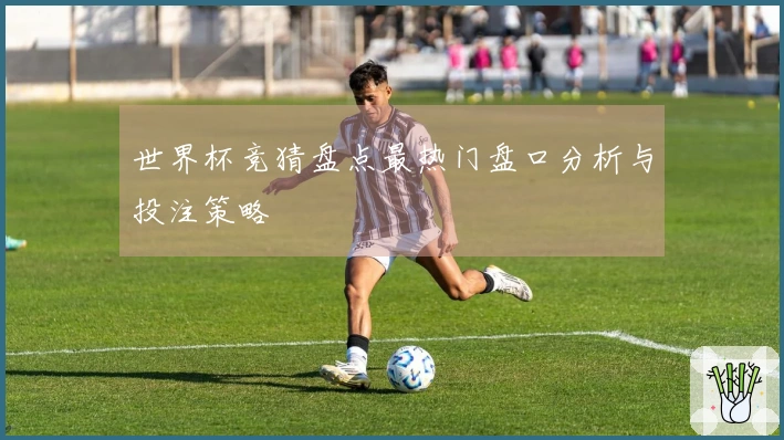 世界杯竞猜盘点最热门盘口分析与投注策略