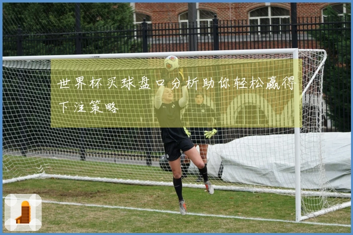 世界杯买球盘口分析助你轻松赢得下注策略