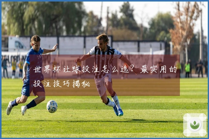 世界杯让球投注怎么选？最实用的投注技巧揭秘