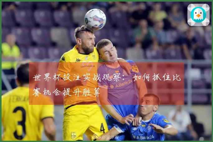 世界杯投注实战观察：如何抓住比赛机会提升胜算