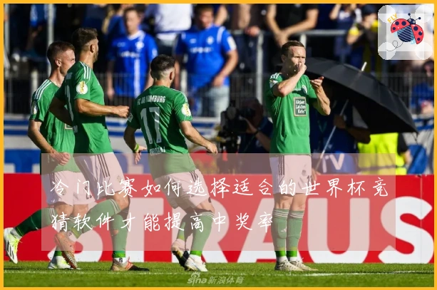 冷门比赛如何选择适合的世界杯竞猜软件才能提高中奖率