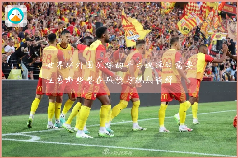 世界杯外围买球的平台选择时需要注意哪些潜在风险与规则解释