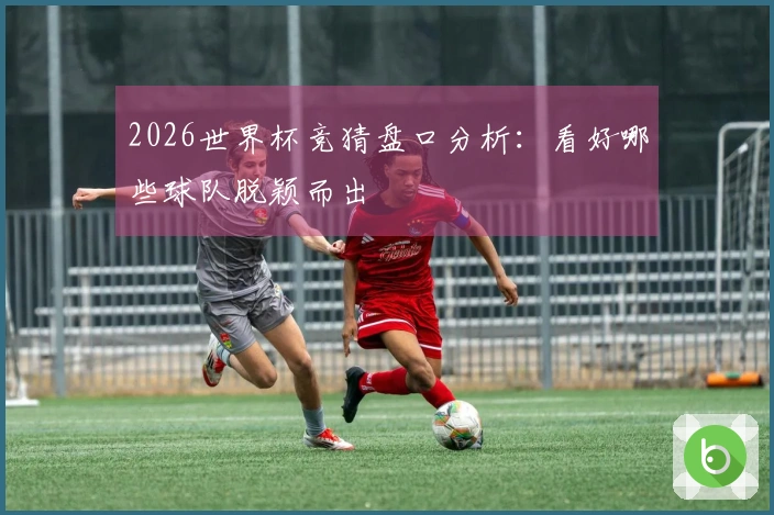 2026世界杯竞猜盘口分析：看好哪些球队脱颖而出