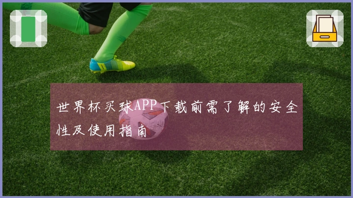 世界杯买球APP下载前需了解的安全性及使用指南