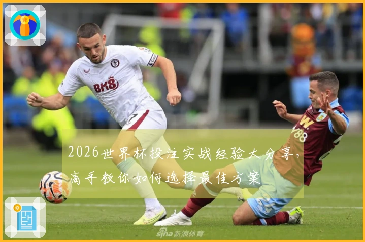 2026世界杯投注实战经验大分享，高手教你如何选择最佳方案