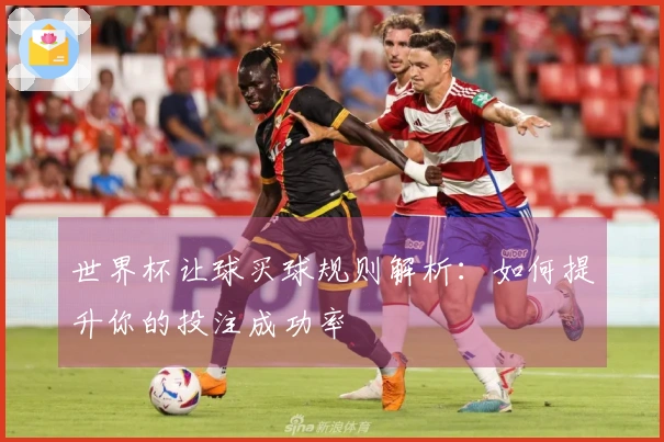 世界杯让球买球规则解析：如何提升你的投注成功率