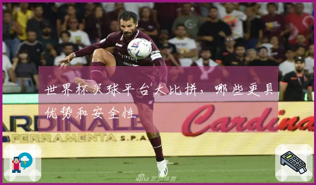 世界杯买球平台大比拼，哪些更具优势和安全性