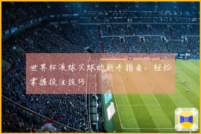 世界杯滚球买球的新手指南，轻松掌握投注技巧