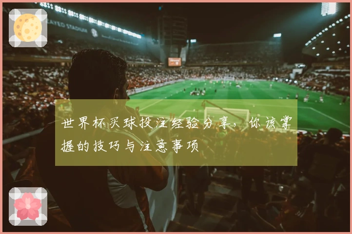 世界杯买球投注经验分享，你该掌握的技巧与注意事项