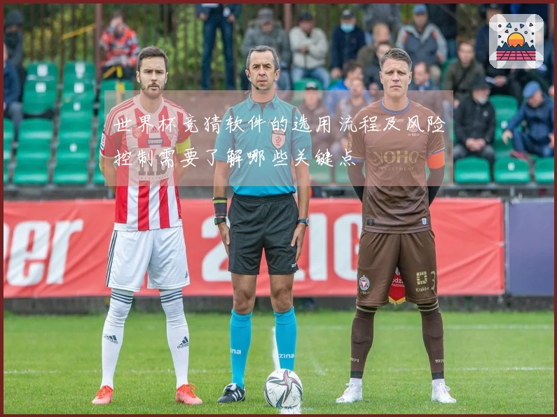 世界杯竞猜软件的选用流程及风险控制需要了解哪些关键点