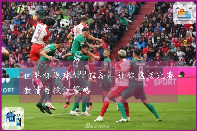 世界杯滚球APP推荐,让你盘活比赛激情与投注策略