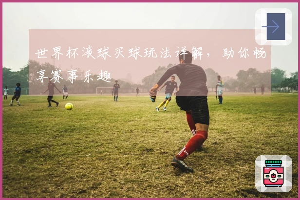 世界杯滚球买球玩法详解，助你畅享赛事乐趣