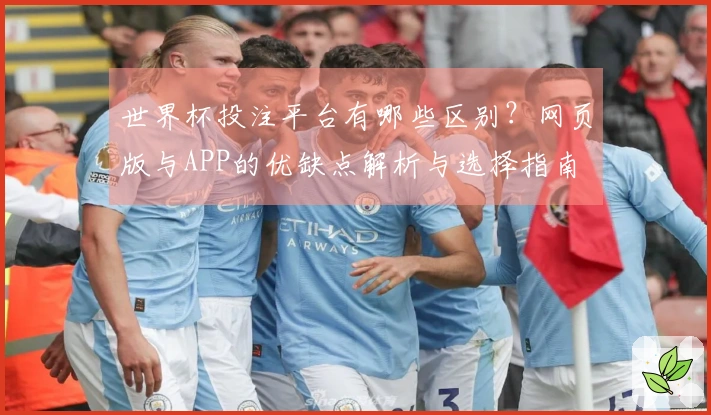 世界杯投注平台有哪些区别？网页版与APP的优缺点解析与选择指南