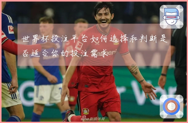 世界杯投注平台如何选择和判断是否适合你的投注需求