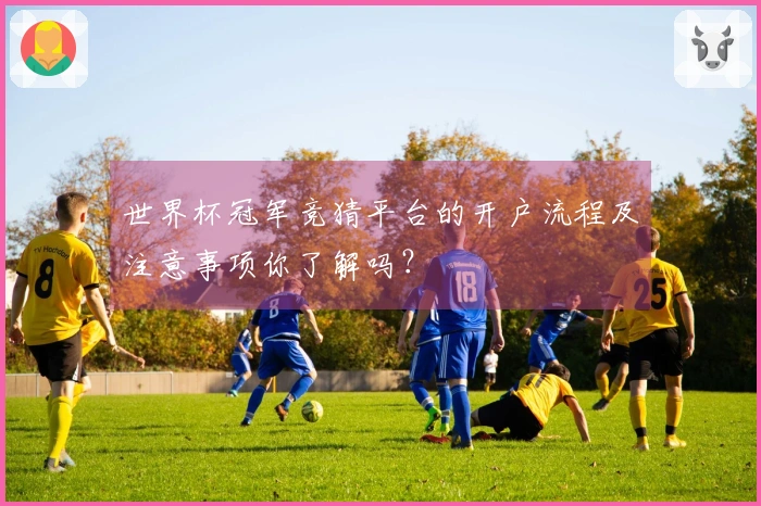 世界杯冠军竞猜平台的开户流程及注意事项你了解吗？